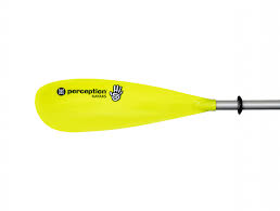 Perception Hi Five | Sit on Top Kids Kayak for Kids up to 120 Lbs. | Youth Kayak with Paddle | 6' 6"